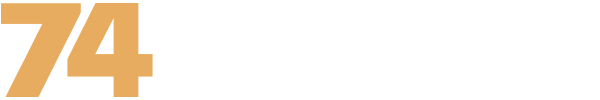 bingo online ao vivo logo